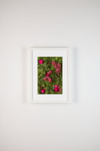 Fuchsia flowers and pine cones on green and burgundy moss fine art print