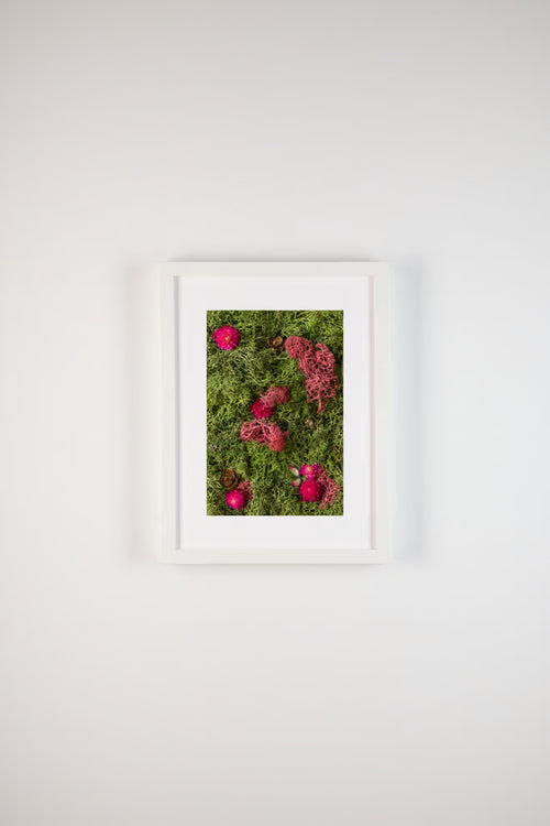 Fuchsia flowers and pine cones on green and burgundy moss fine art print
