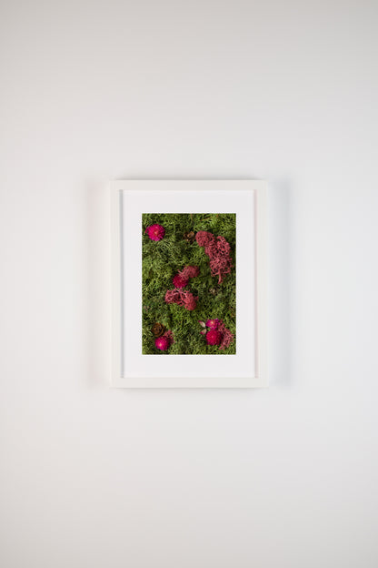 Enchanted Forest - Fine Art Print