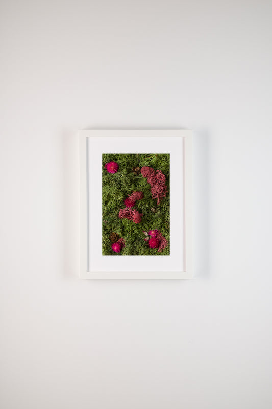 Enchanted Forest - Fine Art Print