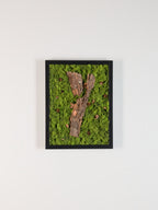 Forest Bathing - Moss Art