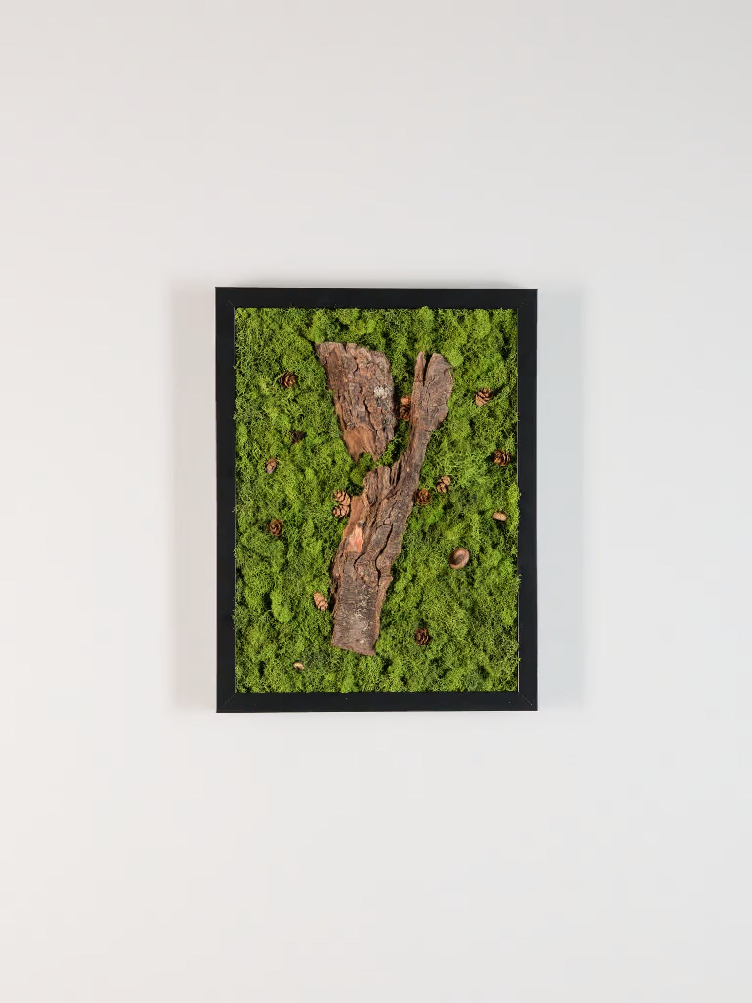 Forest Bathing - Moss Art