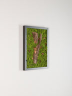Forest Bathing - Moss Art