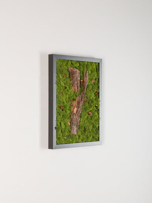 Forest Bathing - Moss Art