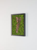 Forest Bathing - Moss Art