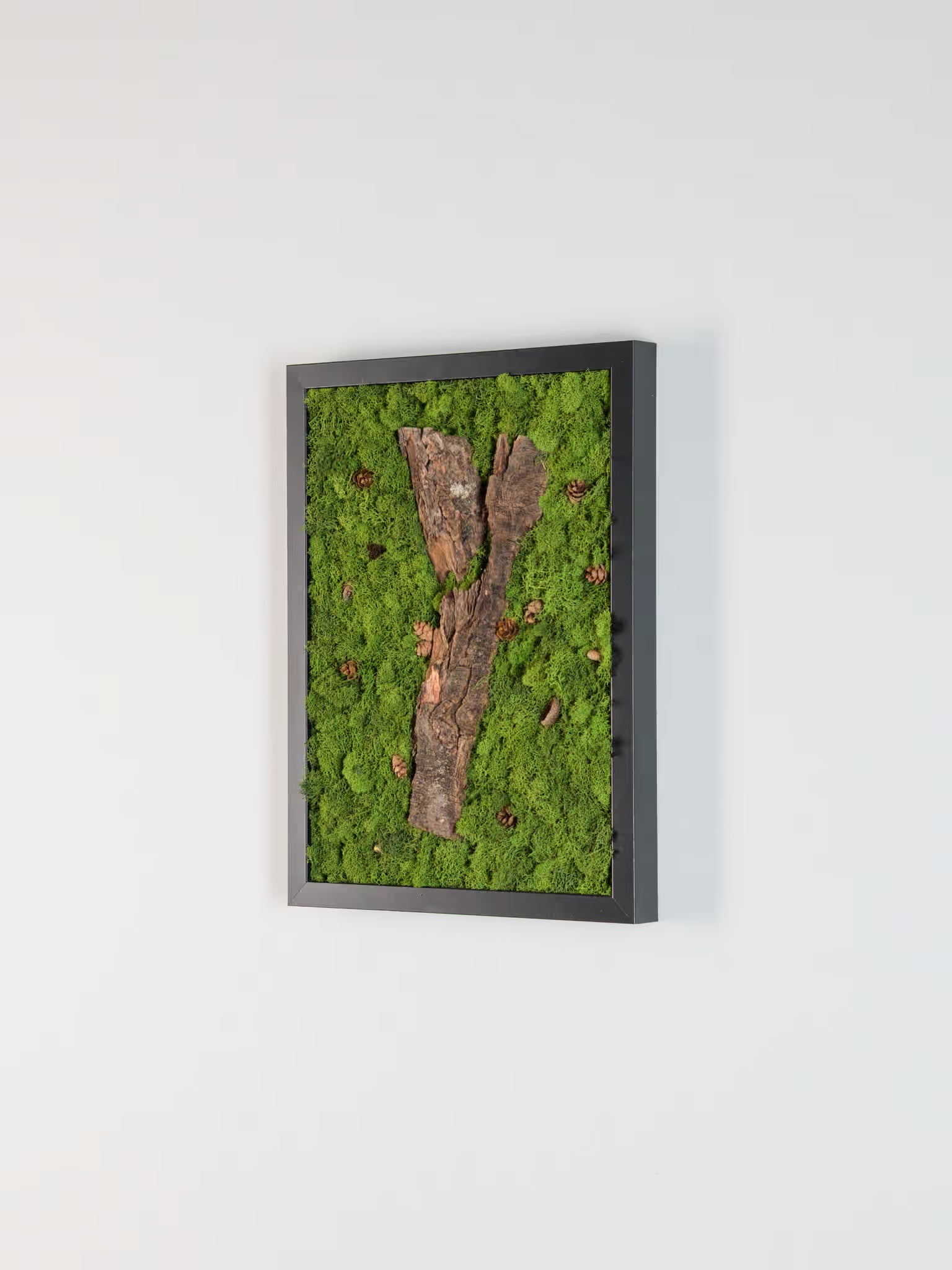 Forest Bathing - Moss Art