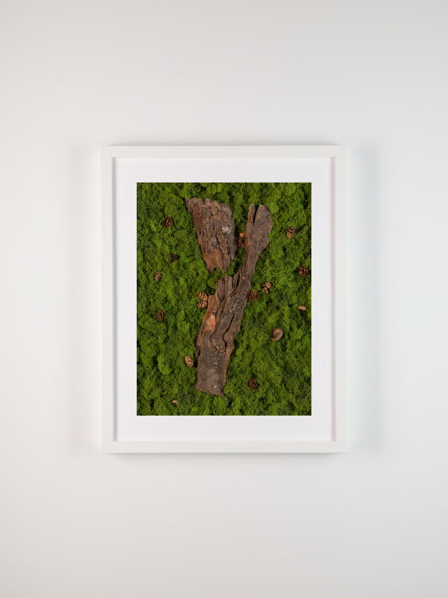 Framed artwork of wooden bark on a green mossy surface with pine cones fine art print