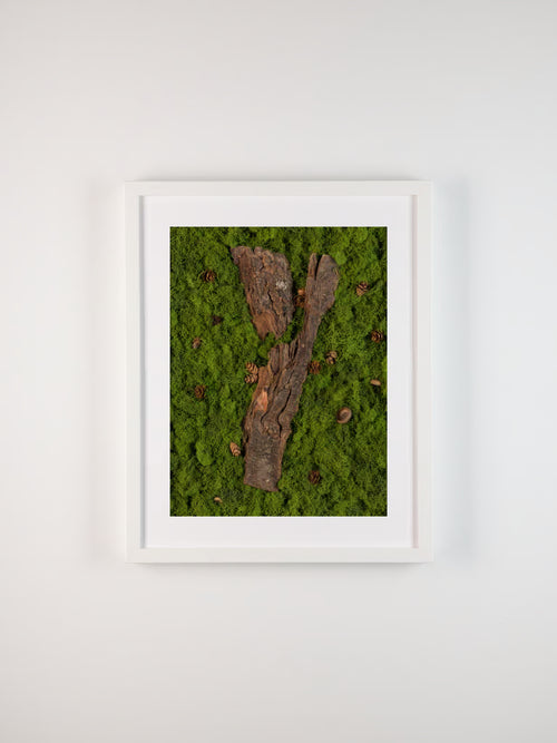 Framed artwork of wooden bark on a green mossy surface with pine cones fine art print