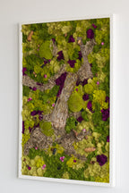 Forest Floor - Moss Art