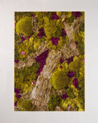 Assembled 504 piece jigsaw puzzle titled 'Forest Floor' with a forest and bak design 