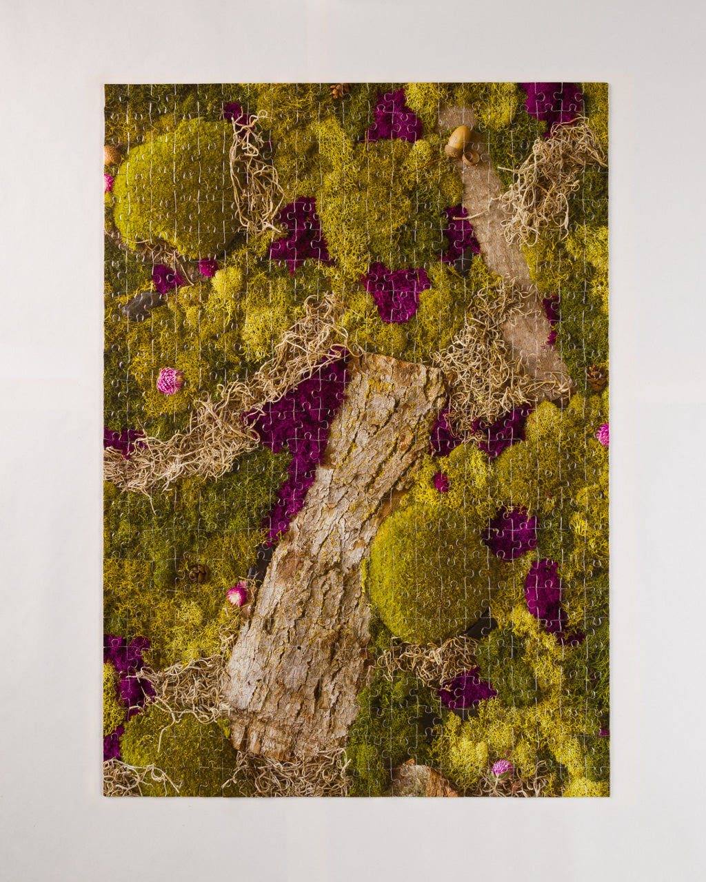 Assembled 504 piece jigsaw puzzle titled 'Forest Floor' with a forest and bak design 