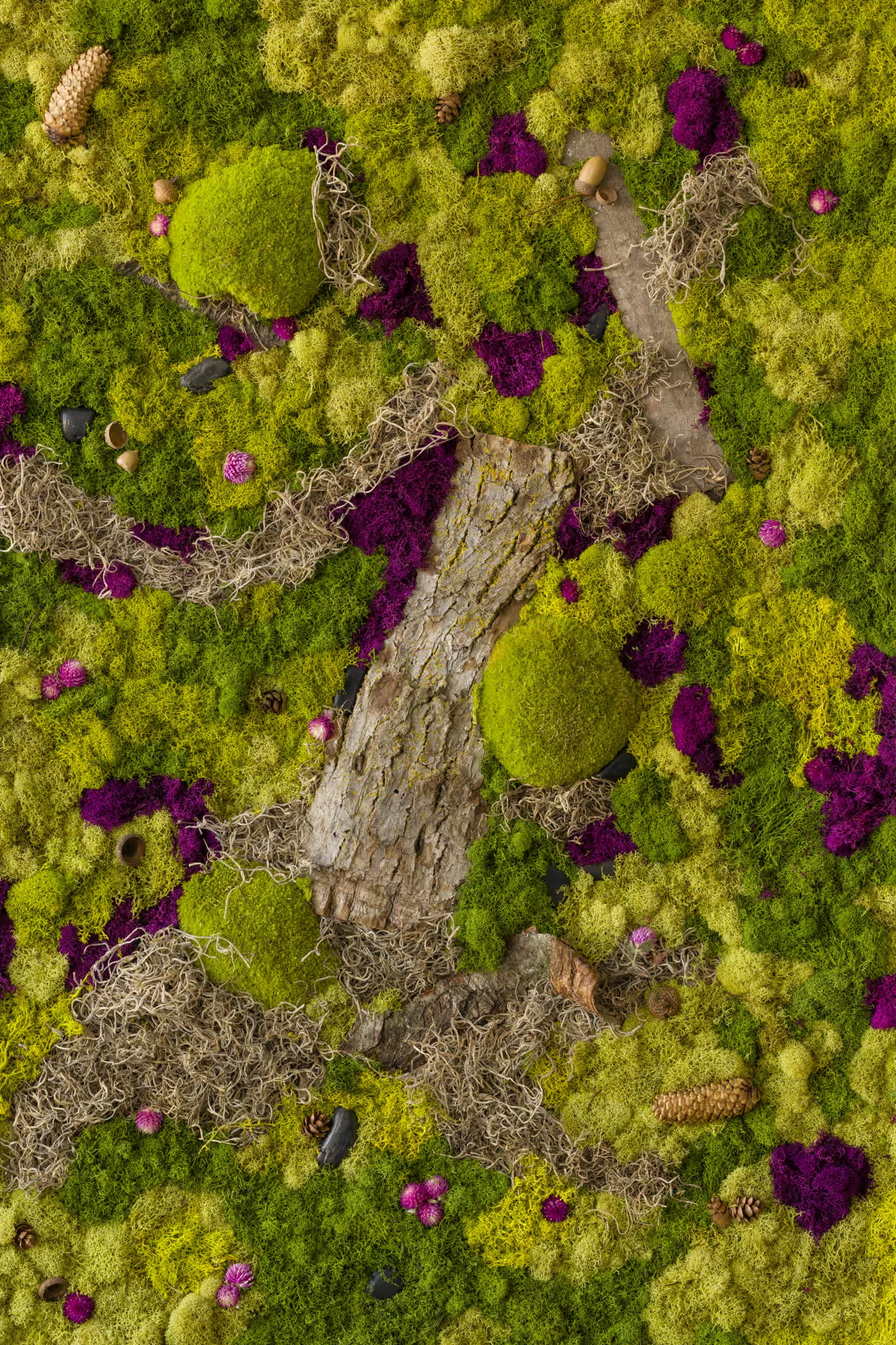 Green moss wall with touches of purple moss and a large tree bark fine art print