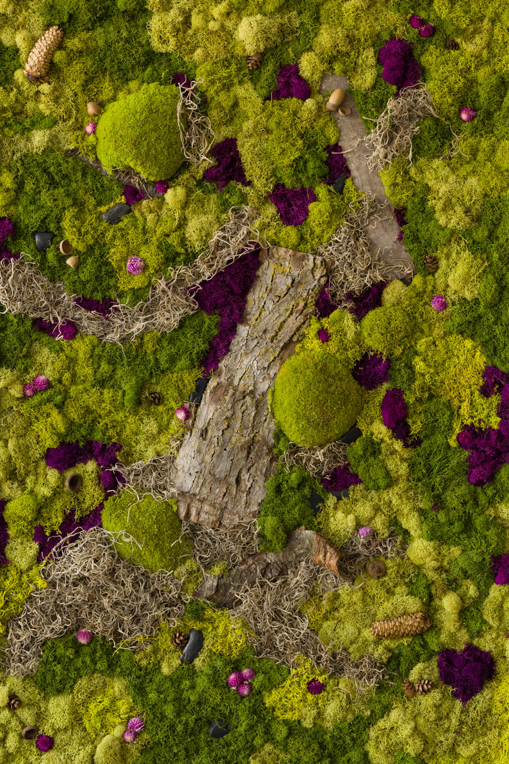 Forest Floor - Fine Art Print