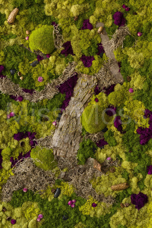 Wildwood - Print