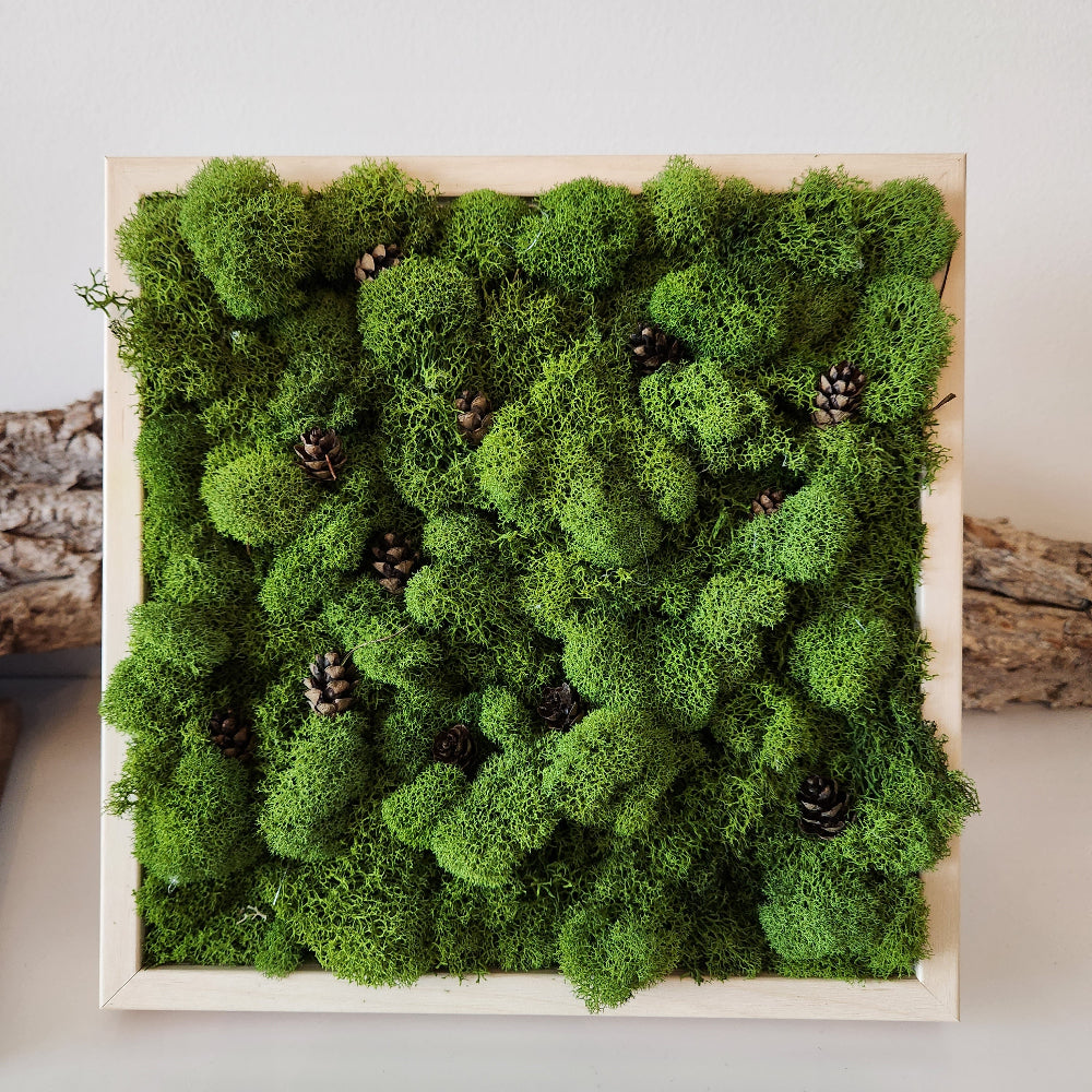 Pine Cones In A Forest - Moss Art