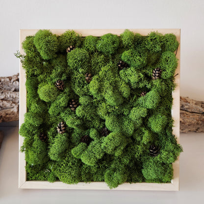 Pine Cones In A Forest - Moss Art