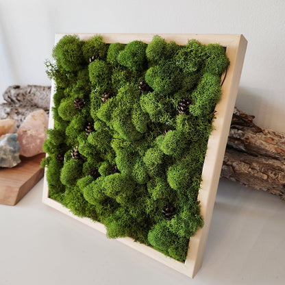 Pine Cones In A Forest - Moss Art