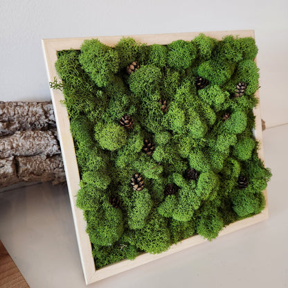 Pine Cones In A Forest - Moss Art