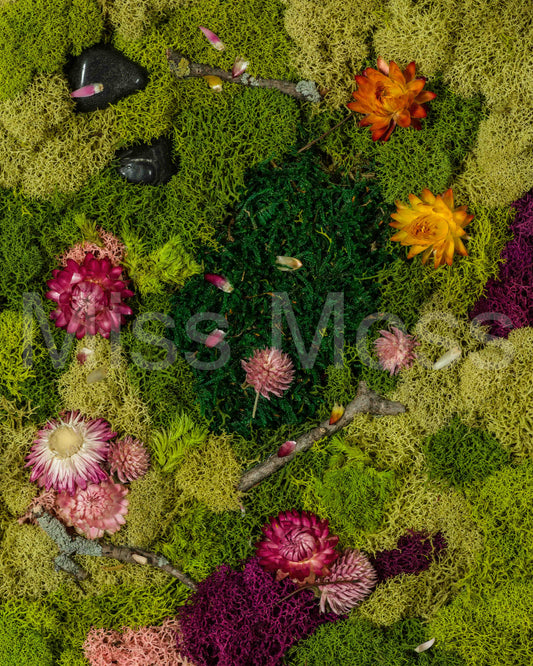 Bellwoods - Print