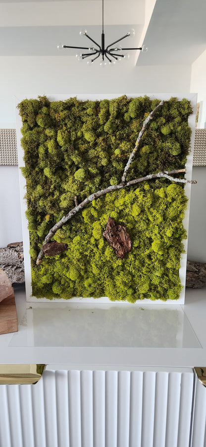 Green Earth With Lichen Sticks - Moss Art