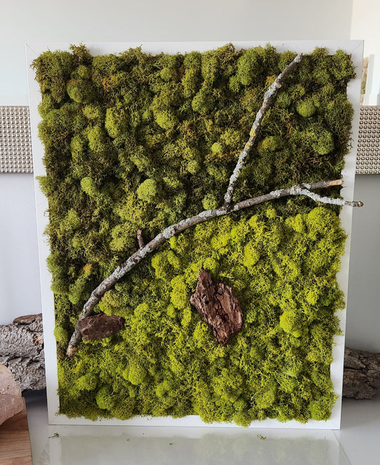 Green Earth With Lichen Sticks