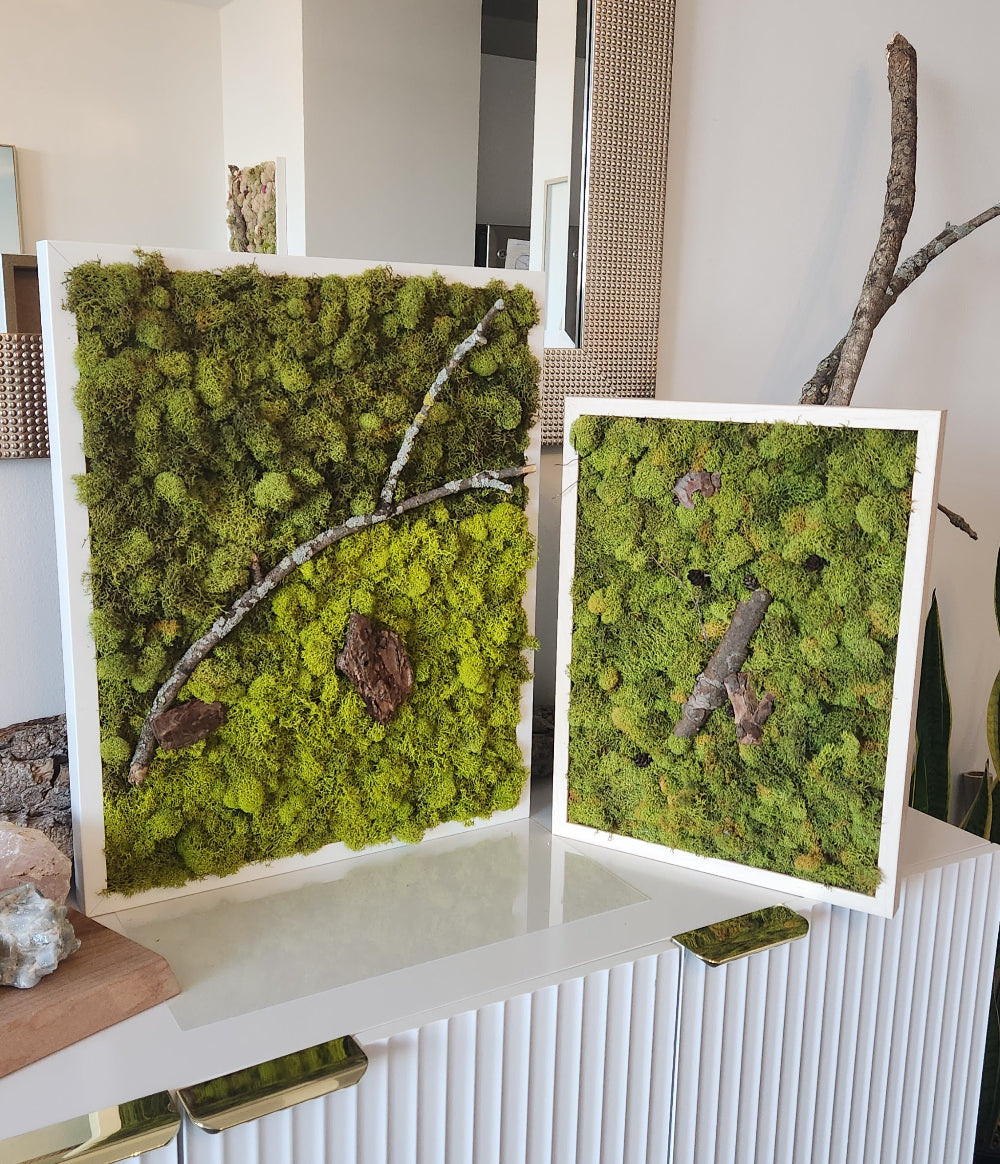 Green Earth & Acorns