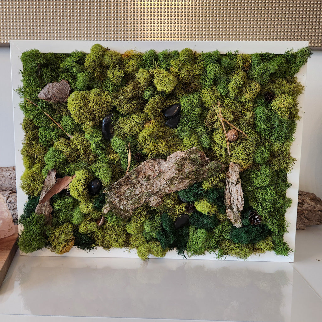 Green Earth With Bark - Moss Art