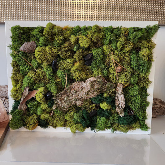 Green Earth With Bark