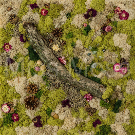 Grounded in Stillness - Print