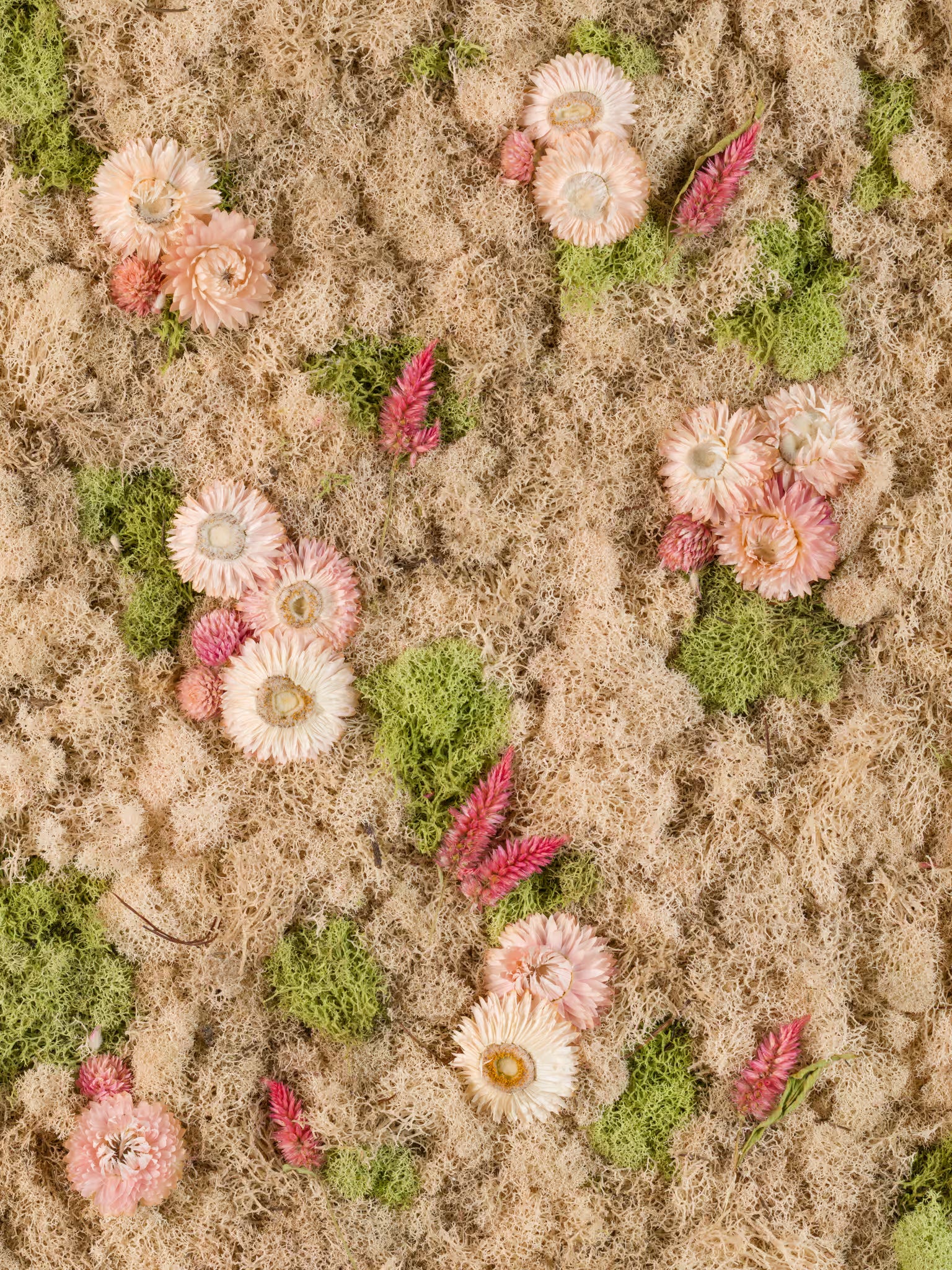 Soft pastel flowers on nude beige moss fine art print