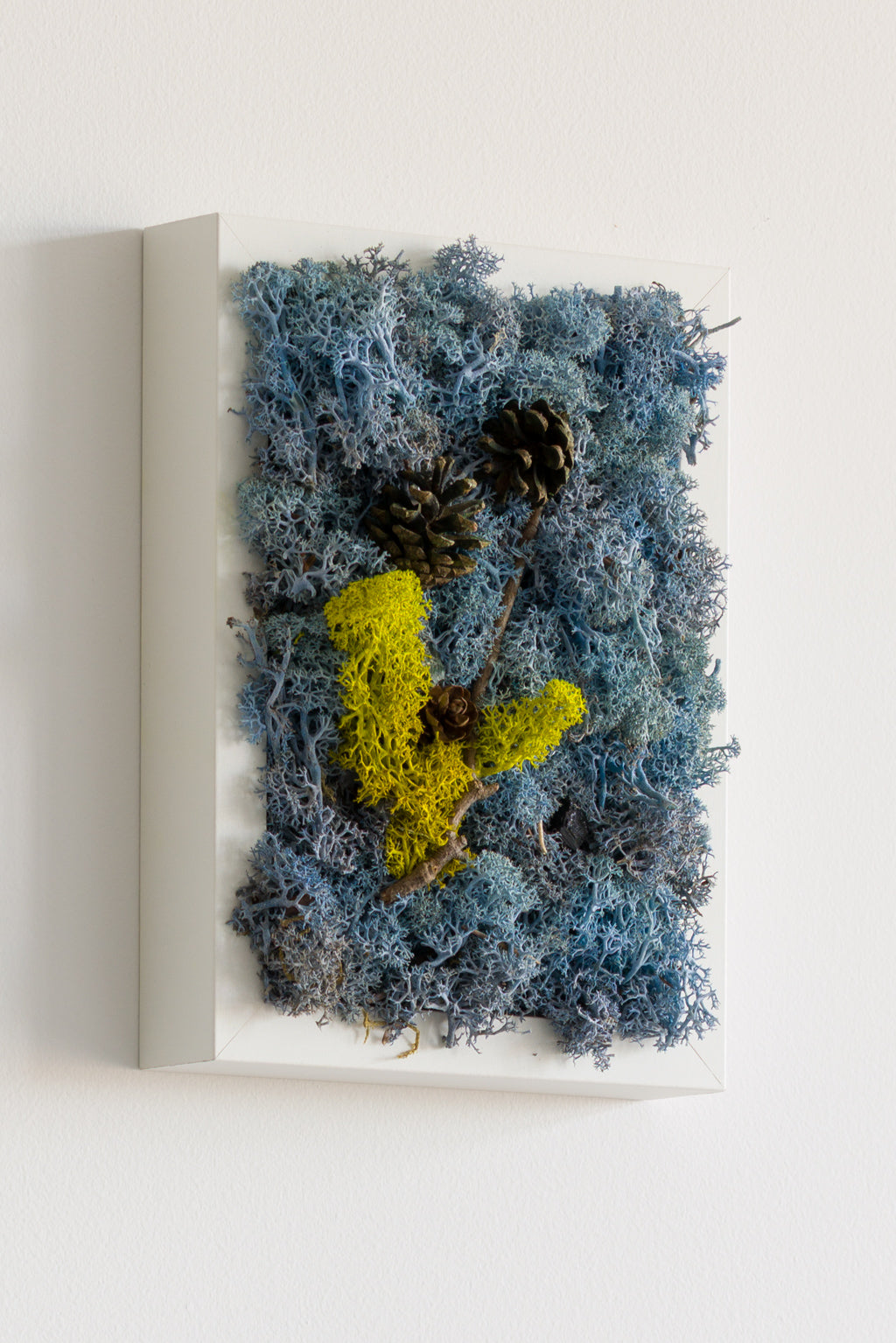 High Tide - Moss Art