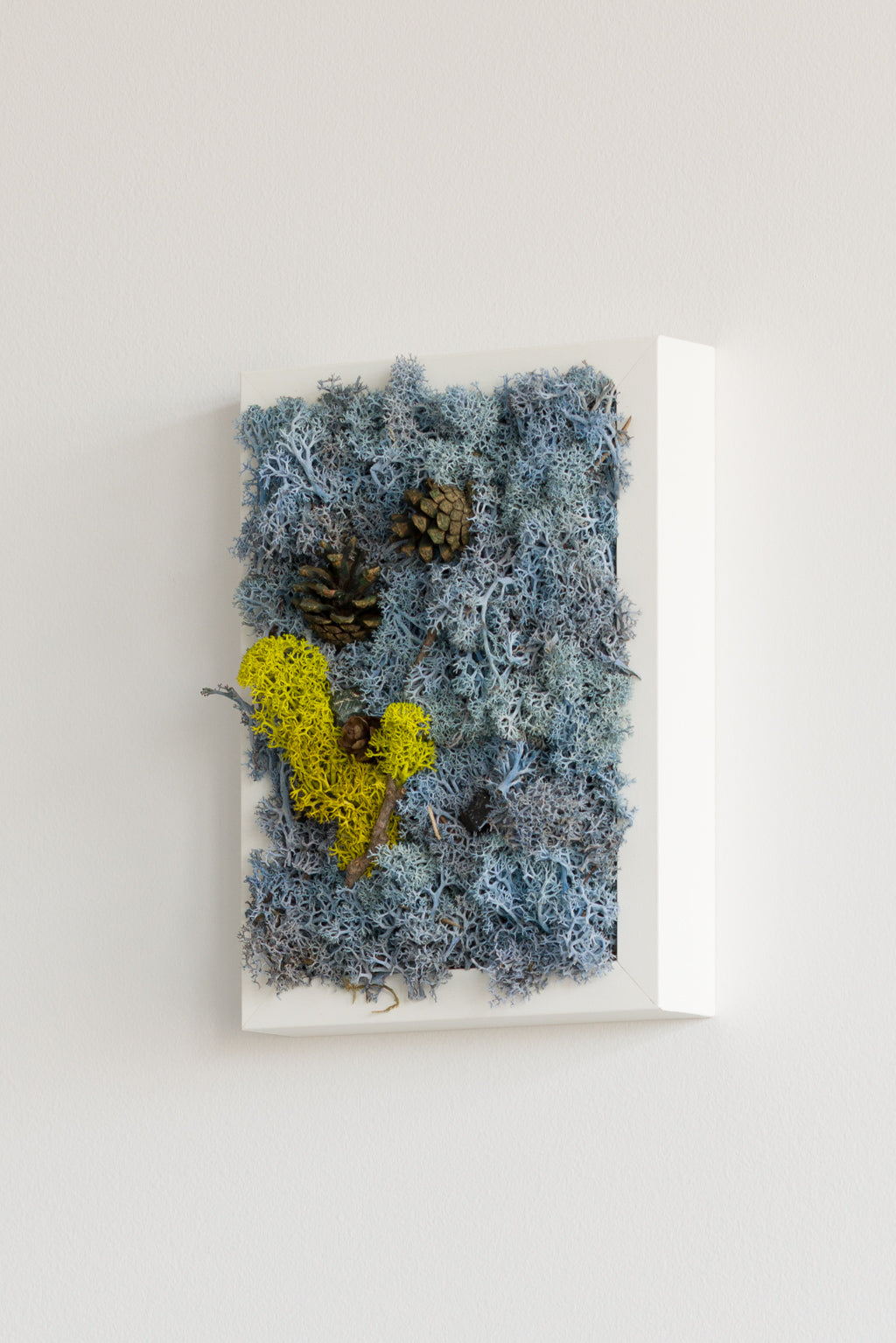 High Tide - Moss Art