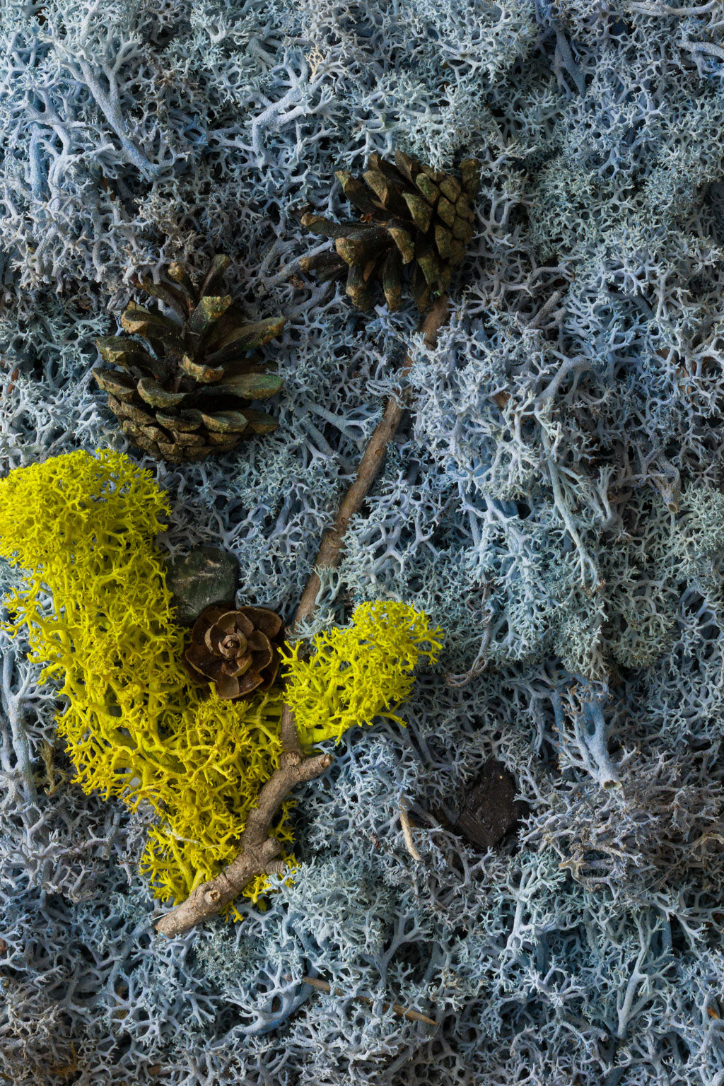 High Tide - Fine Art Print