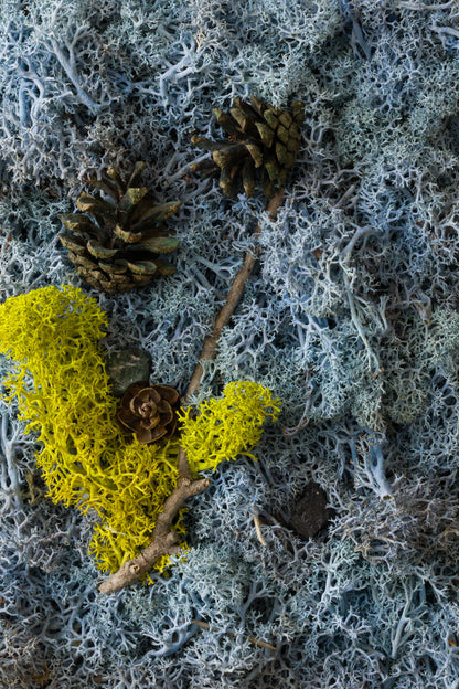 High Tide - Fine Art Print