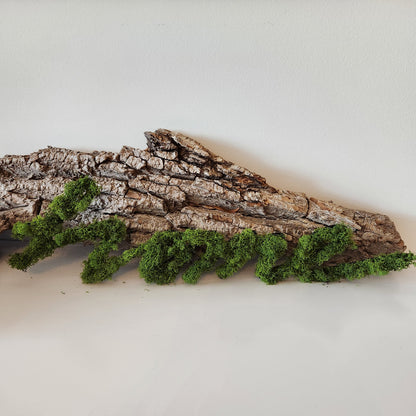 Mossy 'Home' Sign - Moss Art