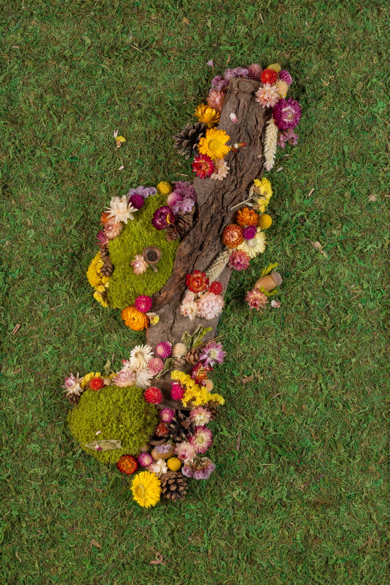 Green forest moss wall with wood bark and colourful flowers fine art print