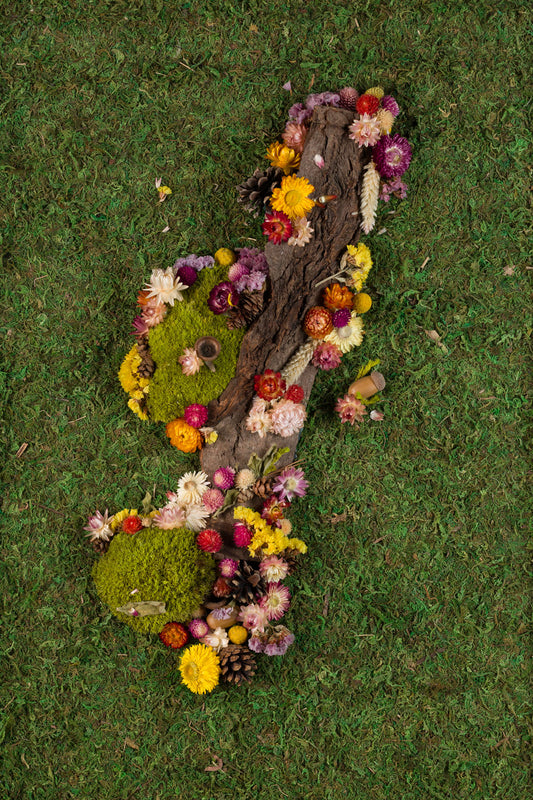 In Bloom - Fine Art Print