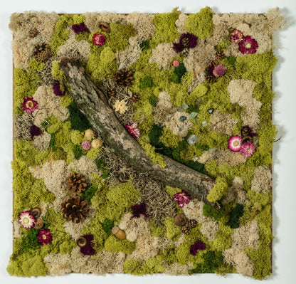 In Stillness - Moss Art