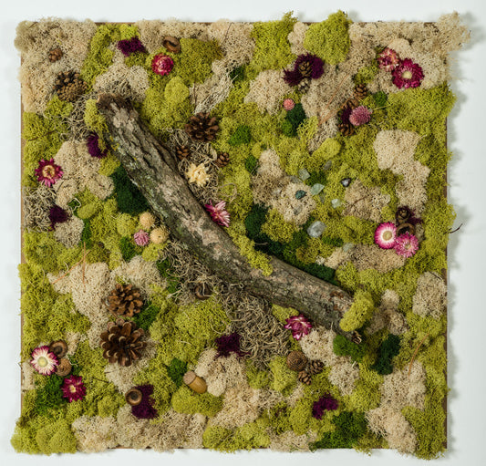 In Stillness - Moss Art