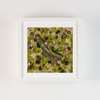 Green and nude moss wall with with flowers, a crystals garden, wooden log, and pine cones fine art print