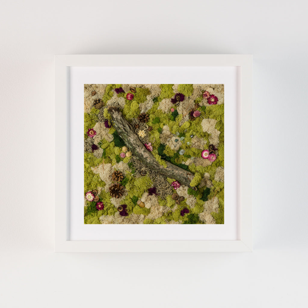 Green and nude moss wall with with flowers, a crystals garden, wooden log, and pine cones fine art print