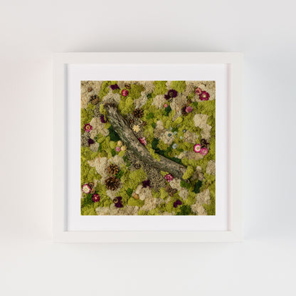 In Stillness - Fine Art Print