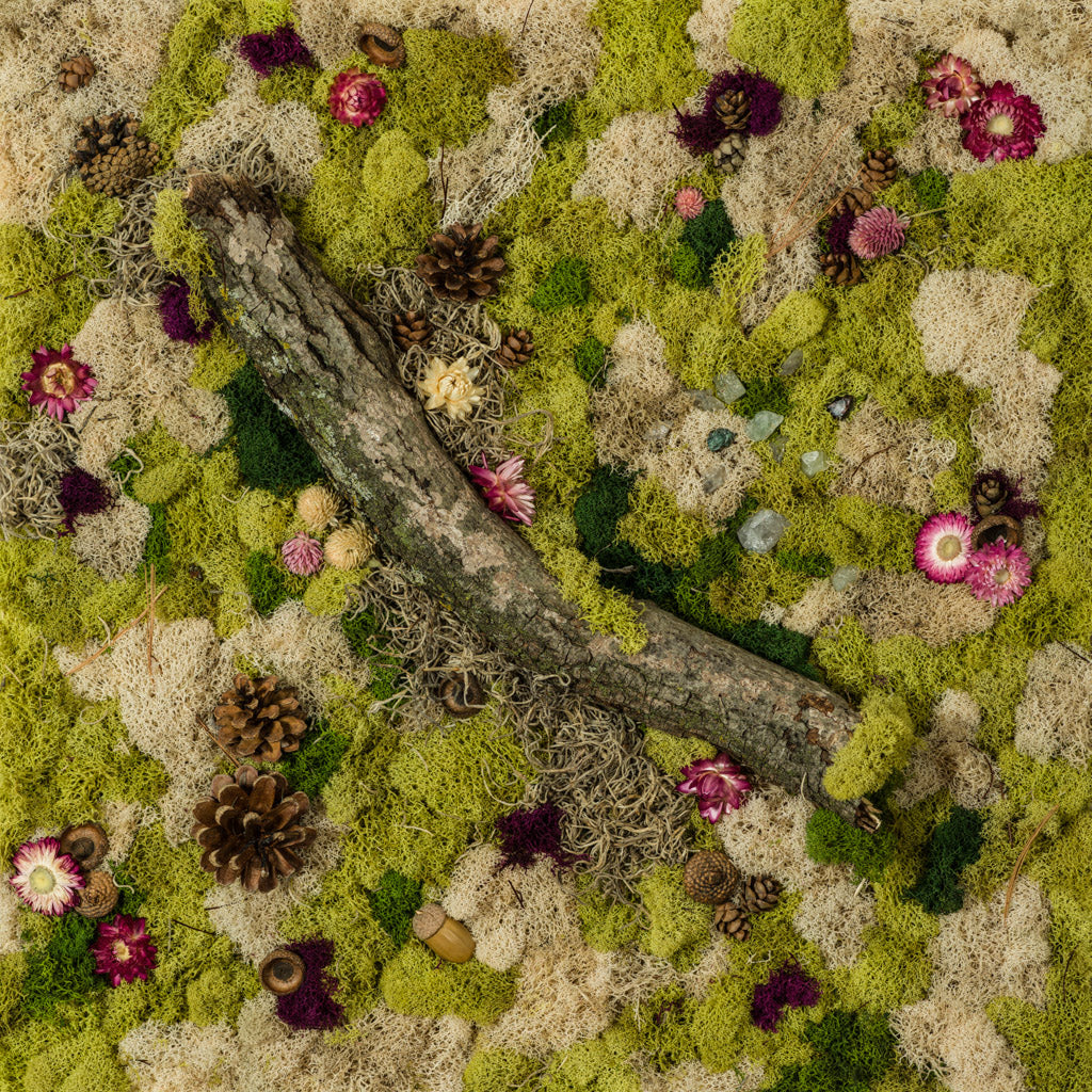 Green and nude moss wall with with flowers, a crystals garden, wooden log, and pine cones fine art print