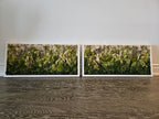 In Nature - Pair - Moss Art