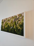 In Nature - Pair - Moss Art