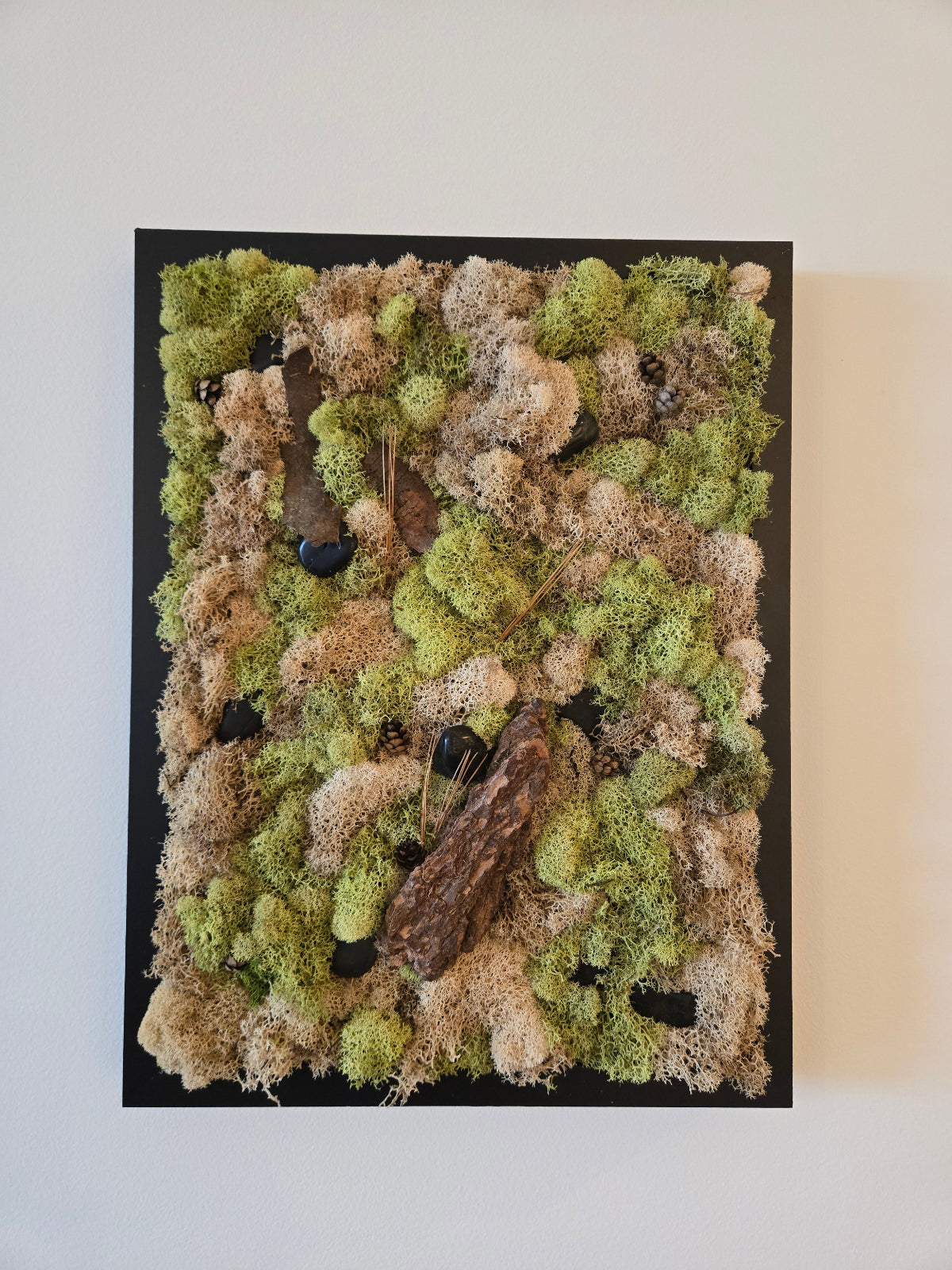 In the Wild - Black Stones - Moss Art