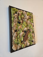 In the Wild - Black Stones - Moss Art