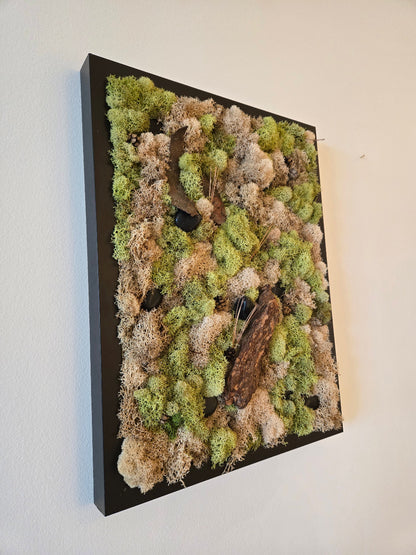 In the Wild - Black Stones - Moss Art