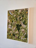 Raw Nature In White Frame - Moss Art