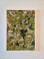 Raw Nature In White Frame - Moss Art